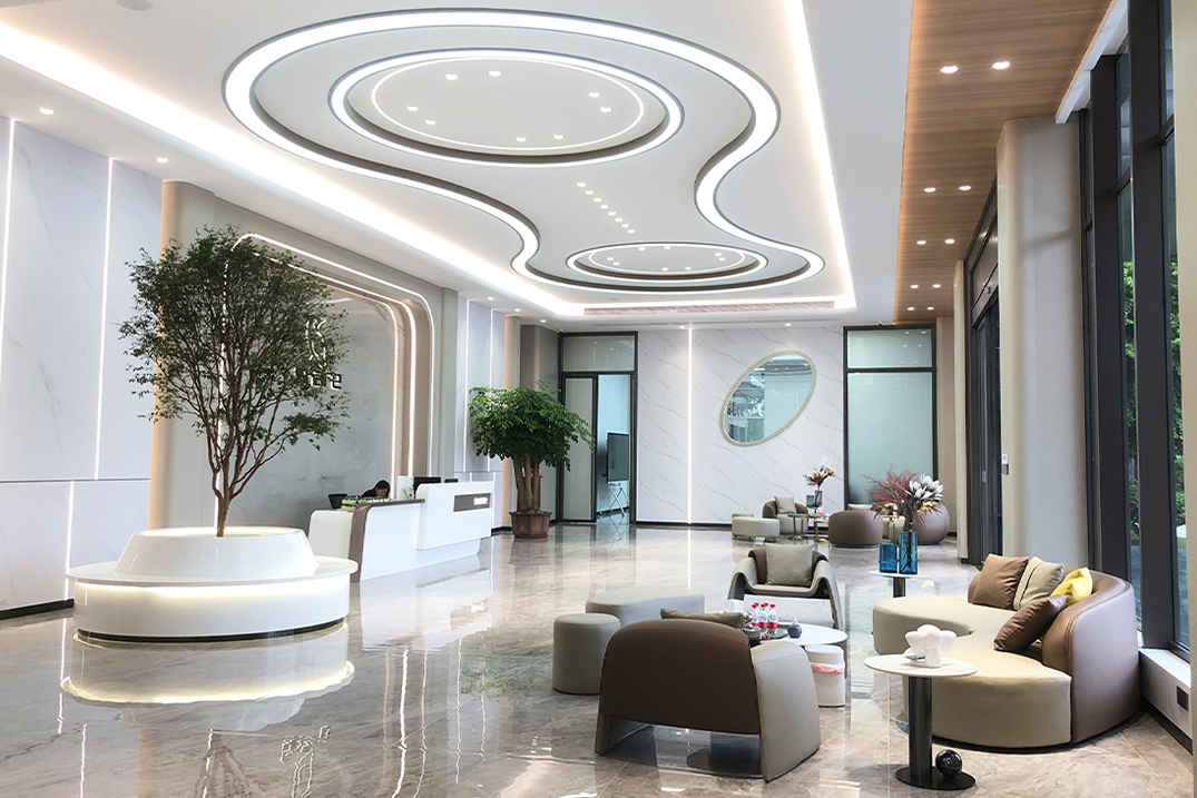 Z6COM · Beauty Navigator	